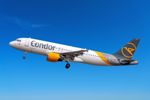 Condor